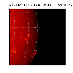 gong - 2024-06-09T16:00:22