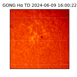 gong - 2024-06-09T16:00:22