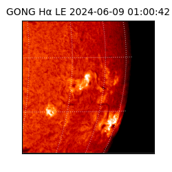 gong - 2024-06-09T01:00:42