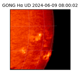 gong - 2024-06-09T08:00:02