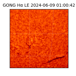 gong - 2024-06-09T01:00:42