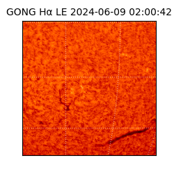 gong - 2024-06-09T02:00:42