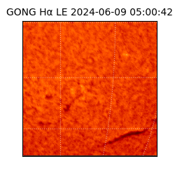 gong - 2024-06-09T05:00:42