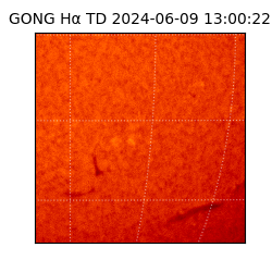 gong - 2024-06-09T13:00:22