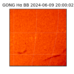 gong - 2024-06-09T20:00:02
