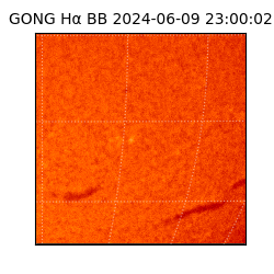 gong - 2024-06-09T23:00:02