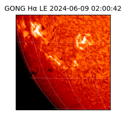 gong - 2024-06-09T02:00:42