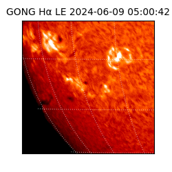 gong - 2024-06-09T05:00:42