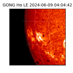 gong - 2024-06-09T04:04:42