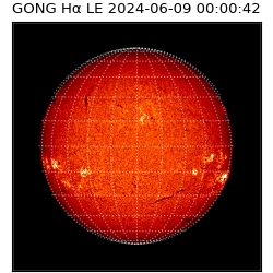 gong - 2024-06-09T00:00:42