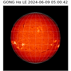 gong - 2024-06-09T05:00:42