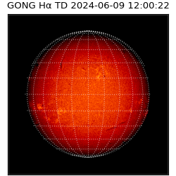 gong - 2024-06-09T12:00:22