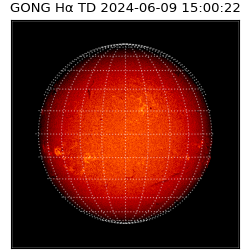 gong - 2024-06-09T15:00:22