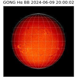 gong - 2024-06-09T20:00:02