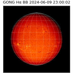 gong - 2024-06-09T23:00:02