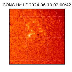 gong - 2024-06-10T02:00:42