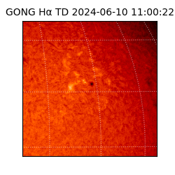 gong - 2024-06-10T11:00:22
