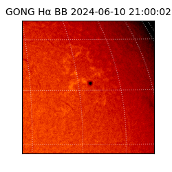 gong - 2024-06-10T21:00:02