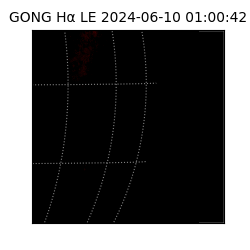 gong - 2024-06-10T01:00:42