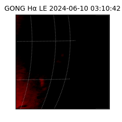 gong - 2024-06-10T03:10:42
