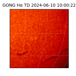 gong - 2024-06-10T10:00:22