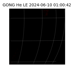 gong - 2024-06-10T01:00:42
