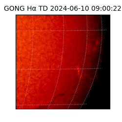 gong - 2024-06-10T09:00:22