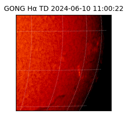 gong - 2024-06-10T11:00:22