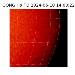gong - 2024-06-10T14:00:22