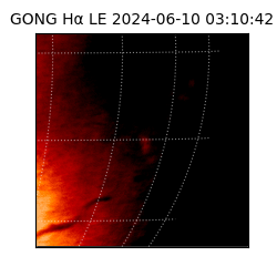 gong - 2024-06-10T03:10:42