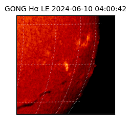 gong - 2024-06-10T04:00:42