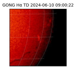 gong - 2024-06-10T09:00:22