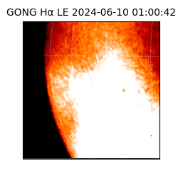 gong - 2024-06-10T01:00:42