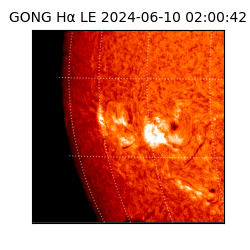 gong - 2024-06-10T02:00:42