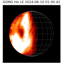 gong - 2024-06-10T01:00:42