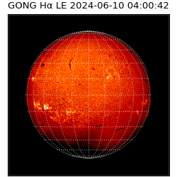gong - 2024-06-10T04:00:42
