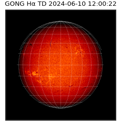 gong - 2024-06-10T12:00:22