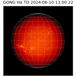 gong - 2024-06-10T13:00:22