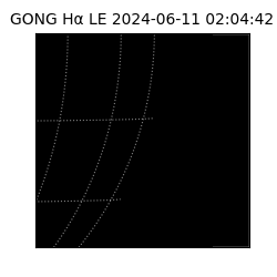 gong - 2024-06-11T02:04:42