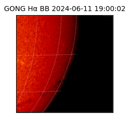 gong - 2024-06-11T19:00:02