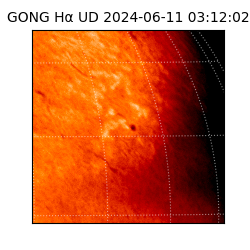 gong - 2024-06-11T03:12:02