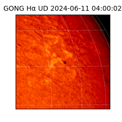 gong - 2024-06-11T04:00:02