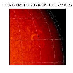 gong - 2024-06-11T17:56:22