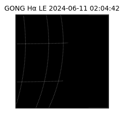 gong - 2024-06-11T02:04:42