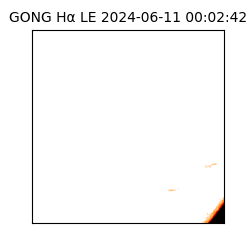 gong - 2024-06-11T00:02:42