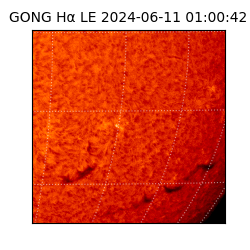 gong - 2024-06-11T01:00:42