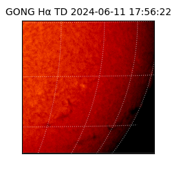 gong - 2024-06-11T17:56:22