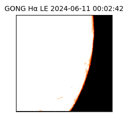 gong - 2024-06-11T00:02:42