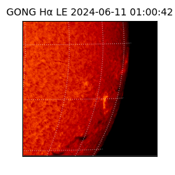 gong - 2024-06-11T01:00:42