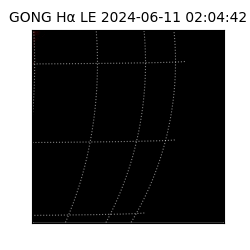 gong - 2024-06-11T02:04:42